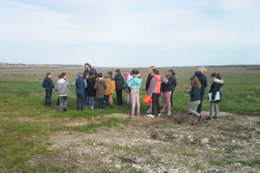 Visite de l'estuaire de la Canche