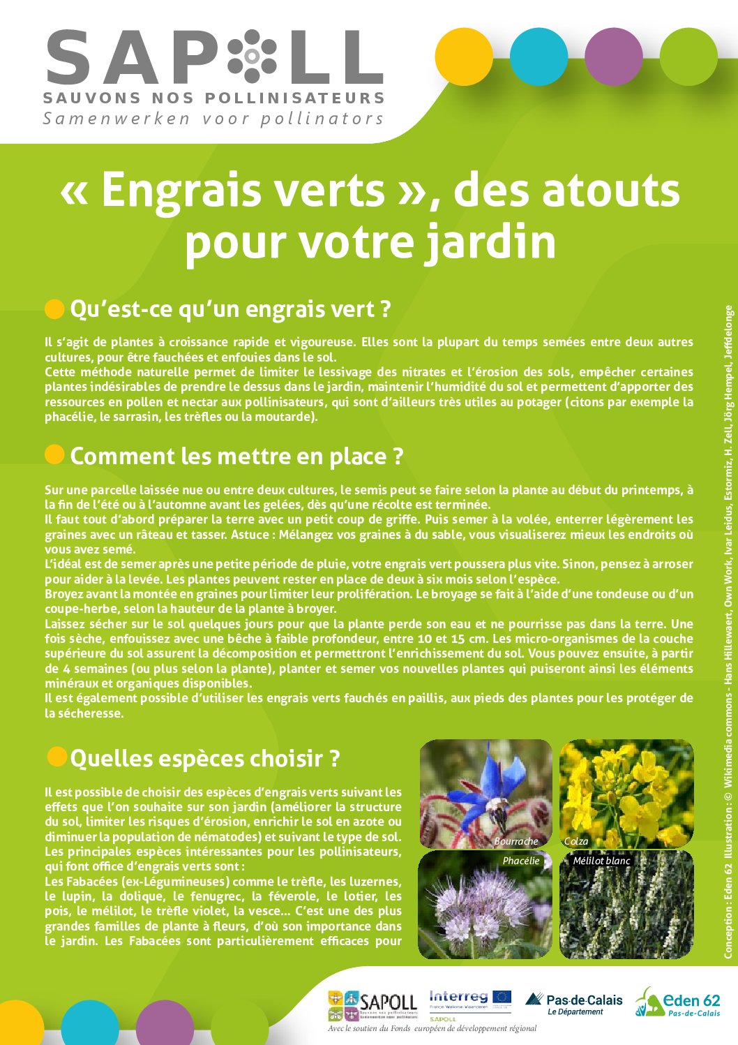 Engrais Verts Des Atouts Pour Votre Jardin - Eden 62