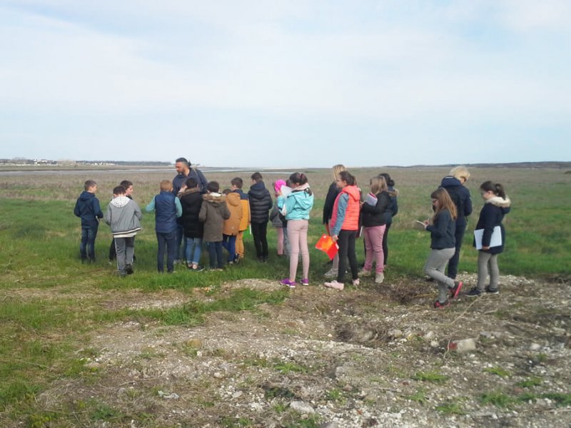 Visite de l'estuaire de la Canche