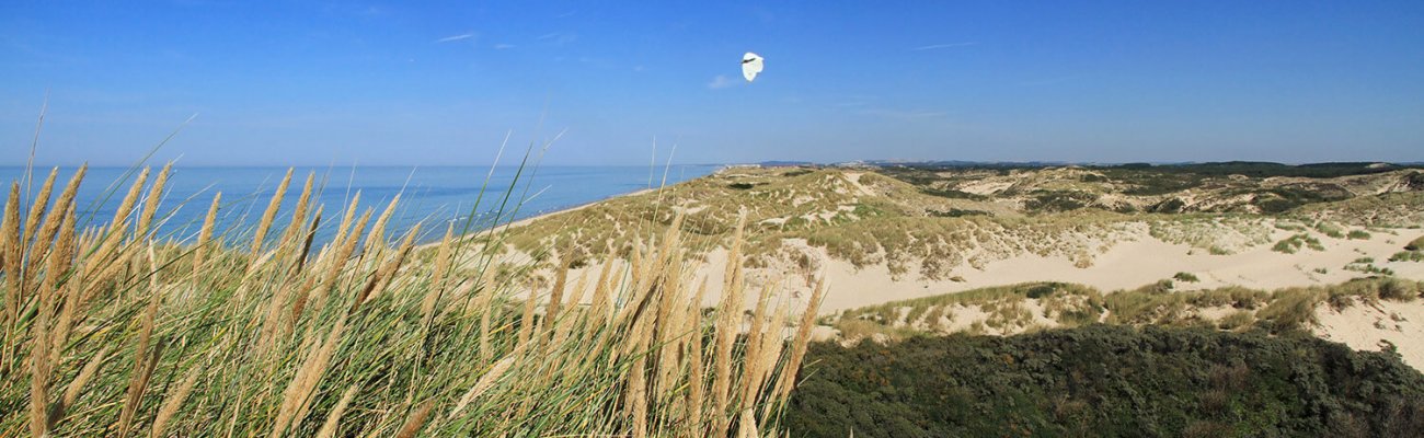 Dunes de Berck