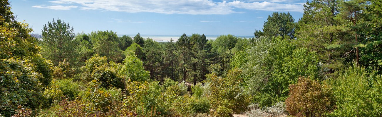 Réserve Naturelle Nationale de Baie de Canche