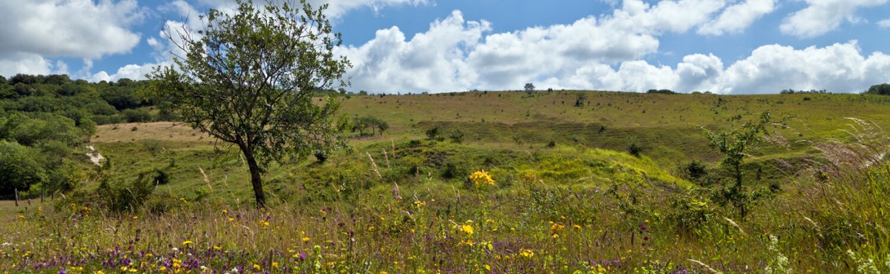 Mont Pelé, Mont Hulin