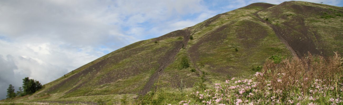 Terrils du Pays à part