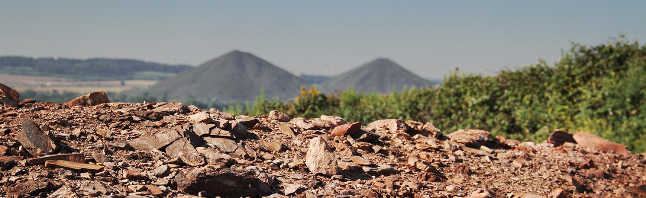 Terril des falandes avec vue sur les terrils du Pays à part