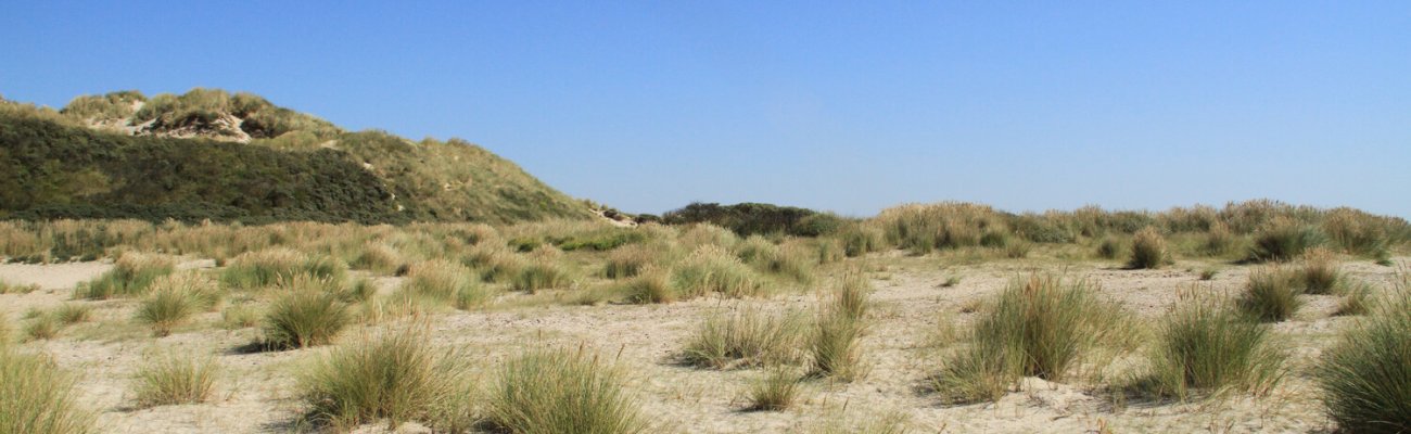 Dunes de Berck