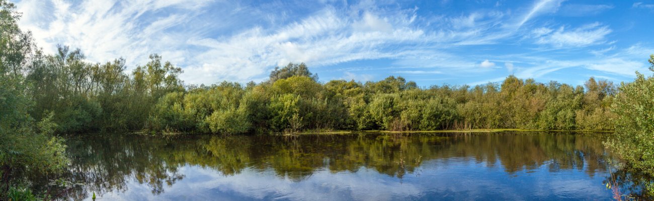 Marais de Guînes