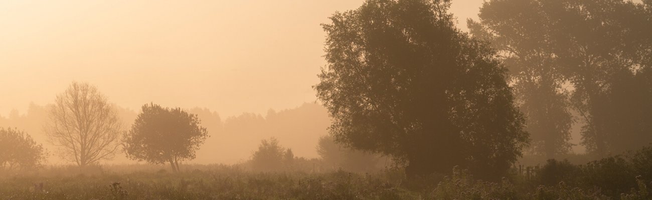 Marais de Guînes