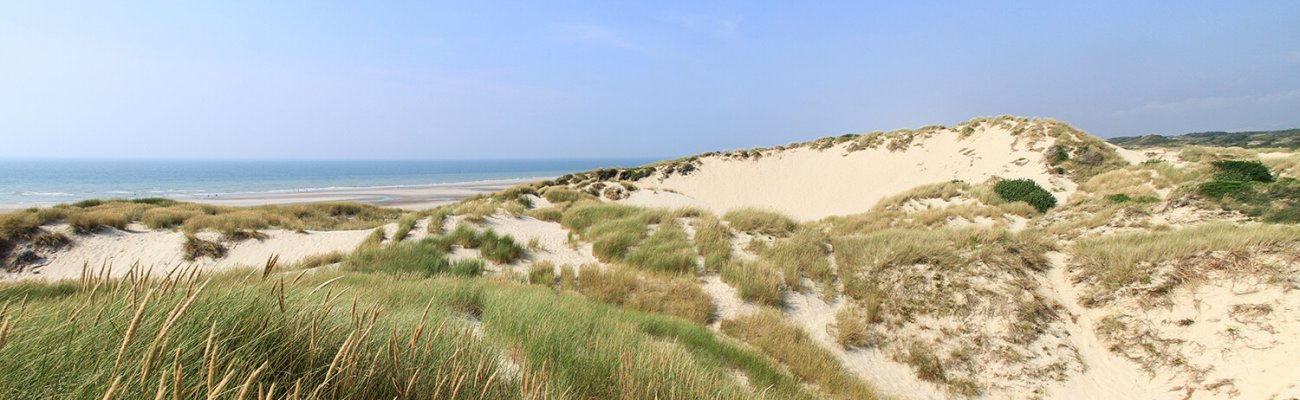 pano mayville 7