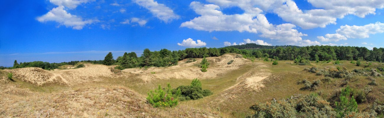 Dunes du Mont Saint-Frieux