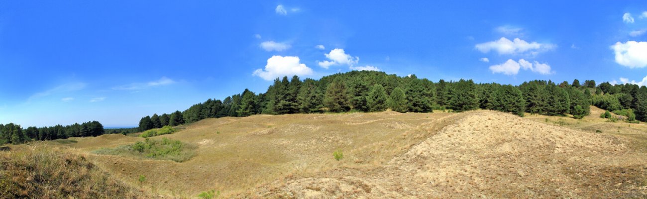 Dunes du Mont Saint-Frieux