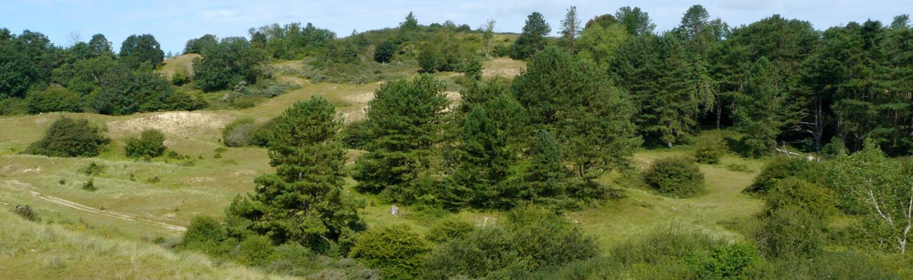 Dunes du Mont Saint-Frieux