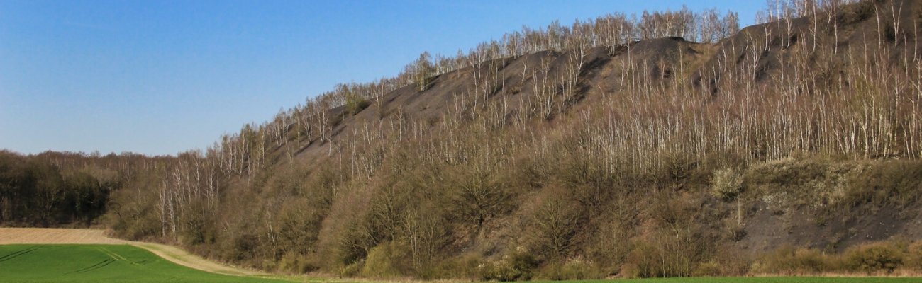 Terril du Pinchonvalles